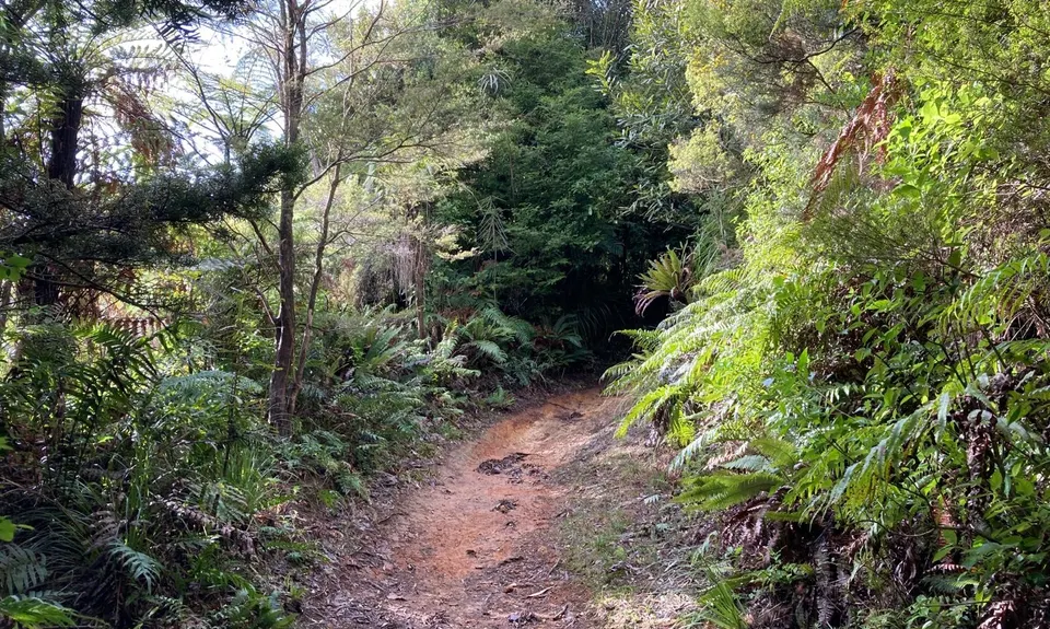 Karangahake Mountain Run, Bay of Plenty