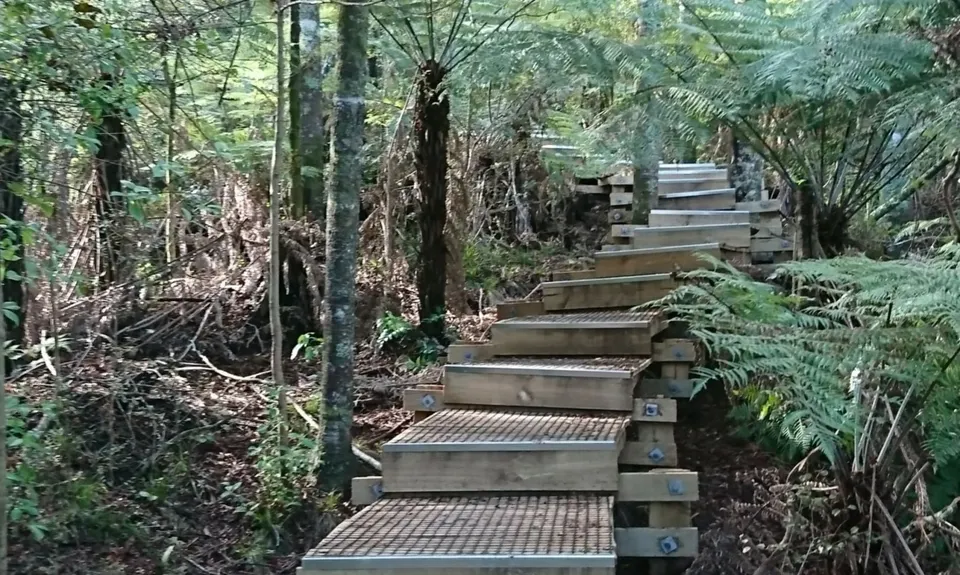 Pukemokemoke Loop, Waikato