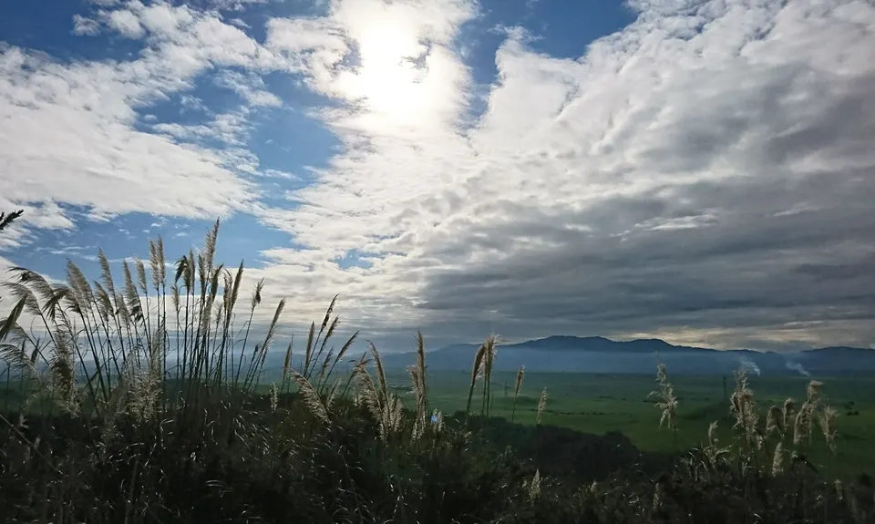 Pukemokemoke Loop, Waikato
