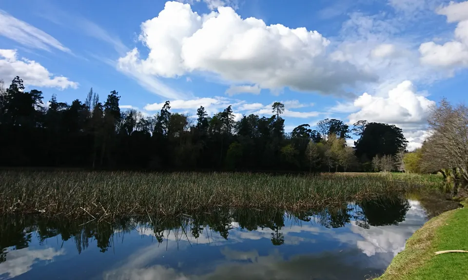 Te Koutu Has It All, Waikato