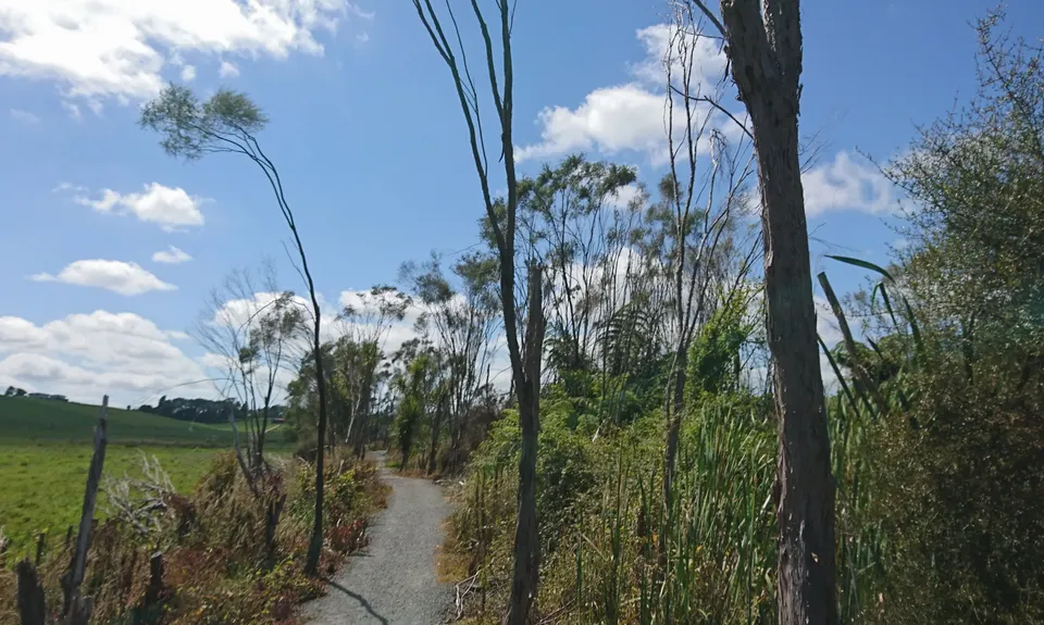 Lake Ngaroto, Waikato