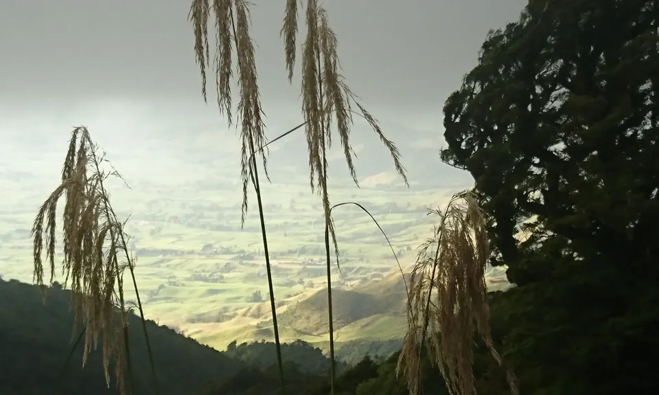 Te Aroha Summit Loop, Waikato