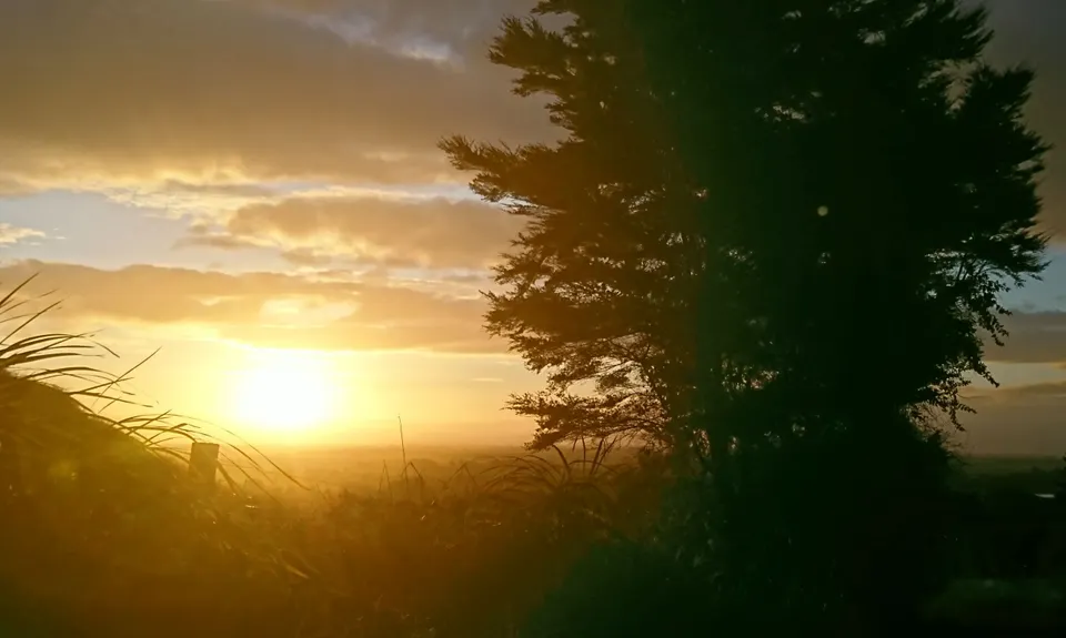Te Aroha Summit Loop, Waikato