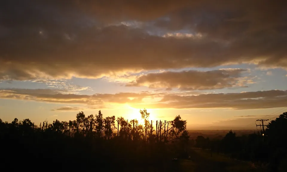 Te Aroha Summit Loop, Waikato