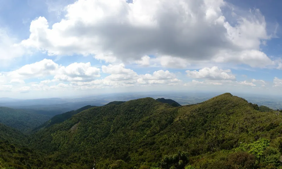 Pirongia Loop of Awesomeness, Waikato