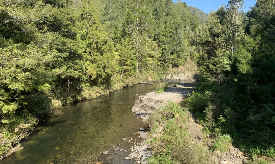 Karangahake Gold, Waikato