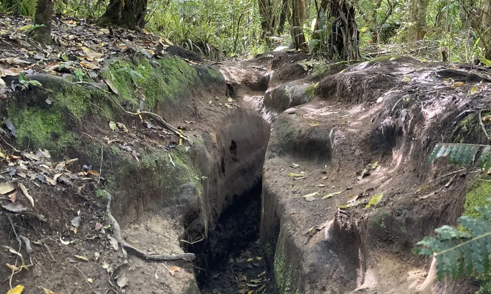 Tauhara Grunt, Waikato