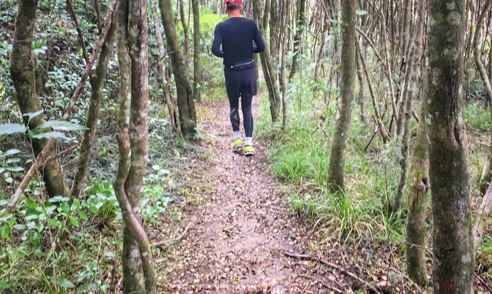 Te Ara Hura West, Auckland