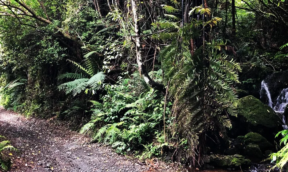 Karapoti Challenge, Wellington