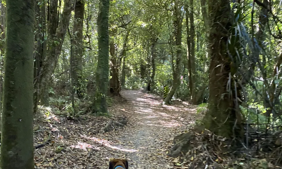 Belmont Tadpole Loop, Wellington