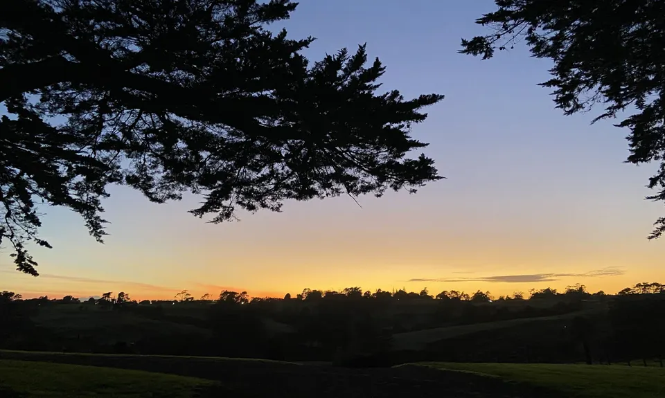 Totara Park Track, Auckland