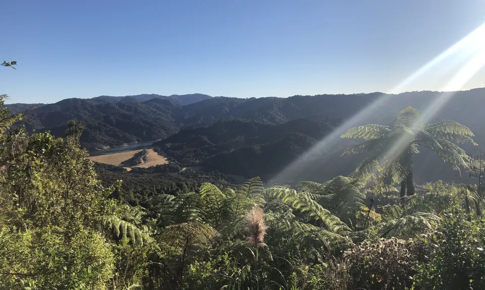 Challenge / Ernies Loop, Auckland