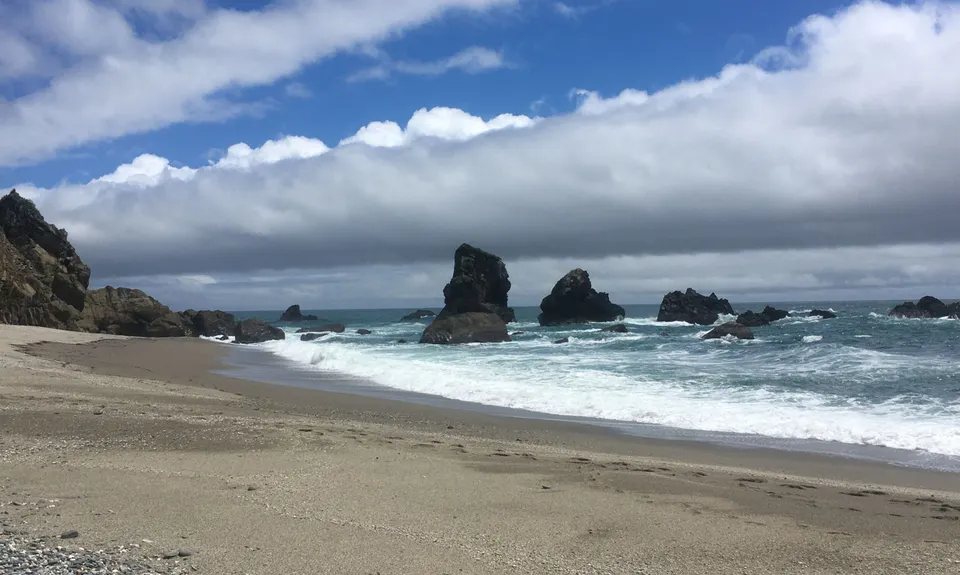 Monro Beach Track, West Coast