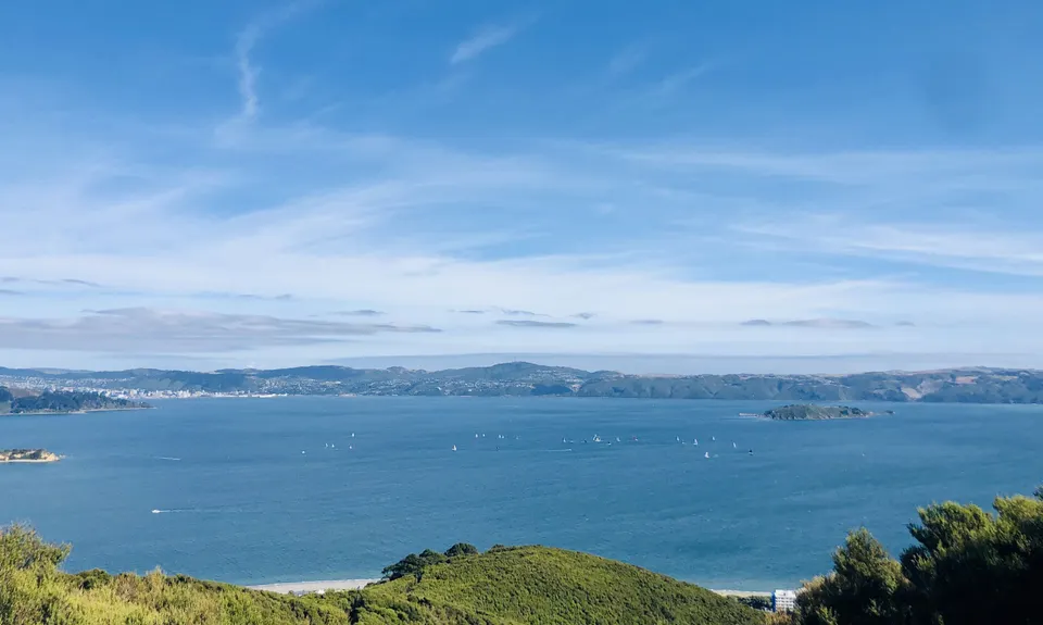 Eastbourne Ridge Loop, Wellington