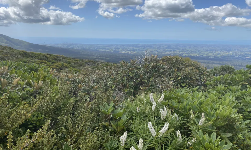Makatawa Loop, Taranaki