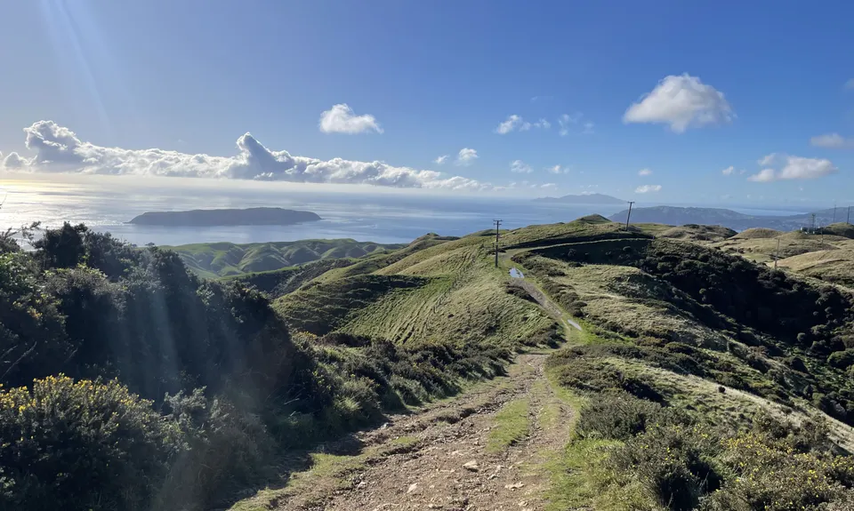 Colonial Knob - All the Hills, Wellington