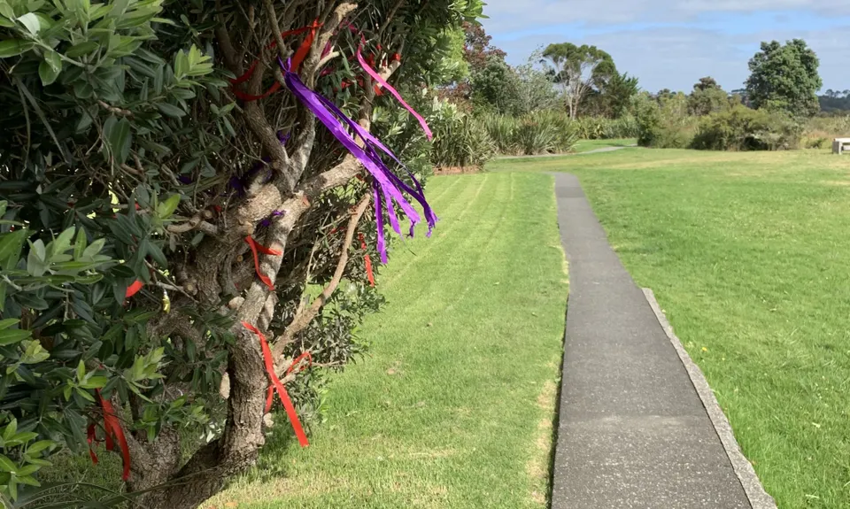 Around the Outside at Te Atatu, Auckland
