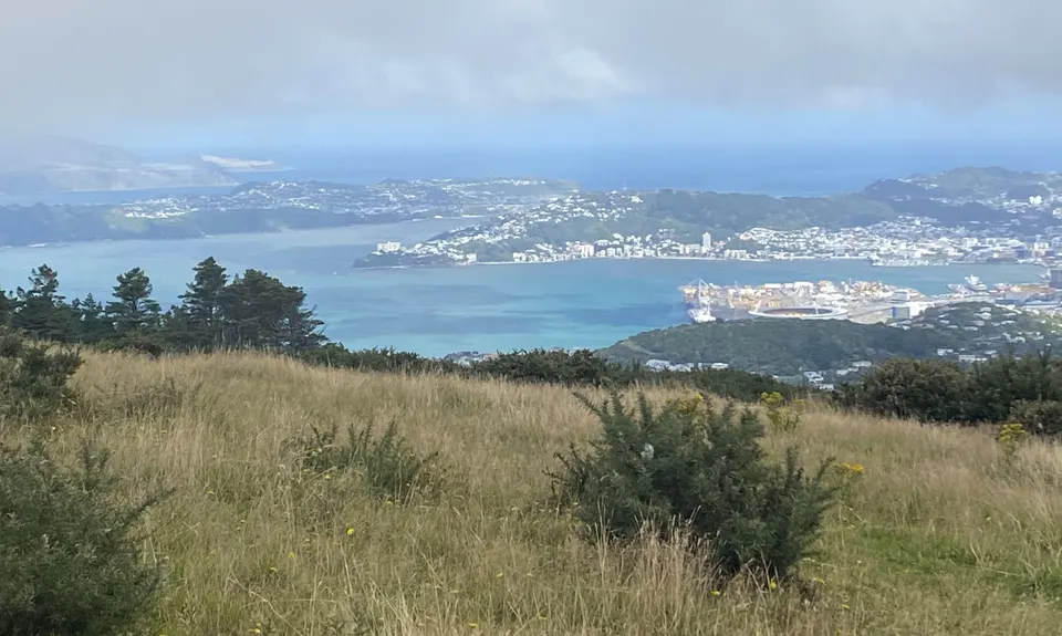 Extended Skyline, Wellington