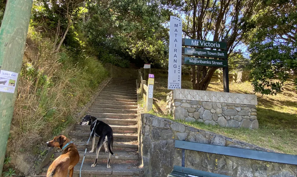 Matairangi Loop, Wellington