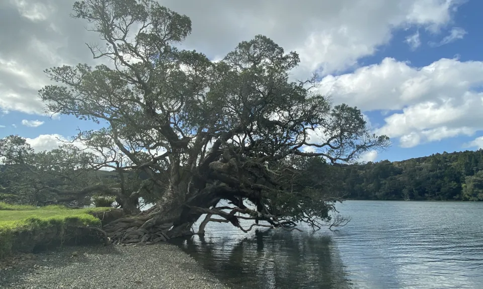 Wenderholm Wide , Auckland