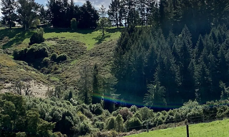 The Giants of Geraldine, Canterbury