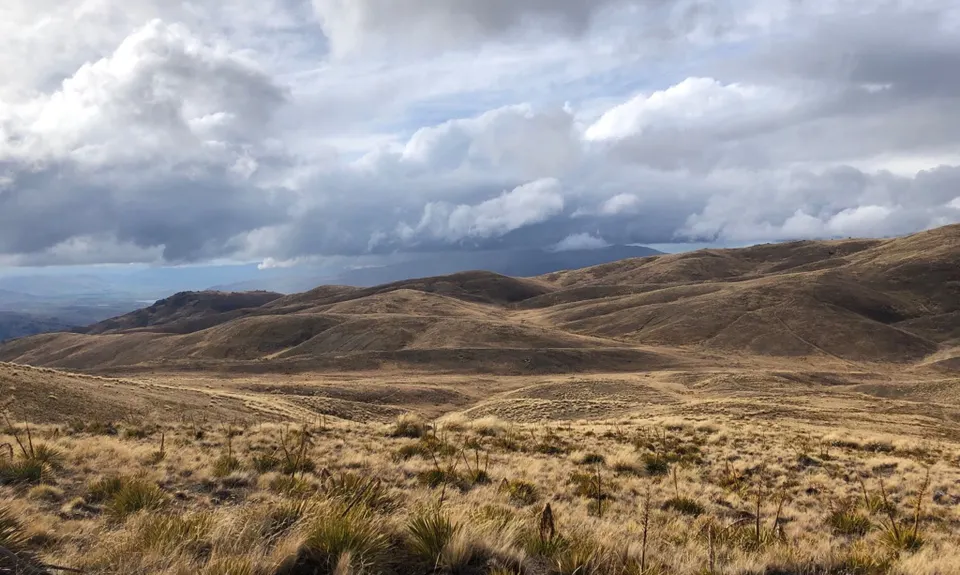 Potters Creek Loop, Otago