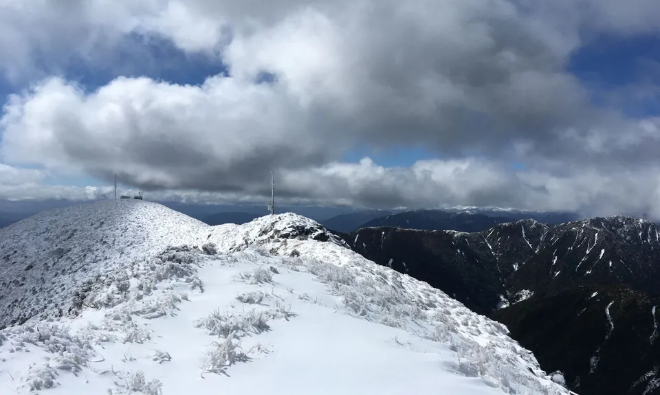 Mt French, West Coast