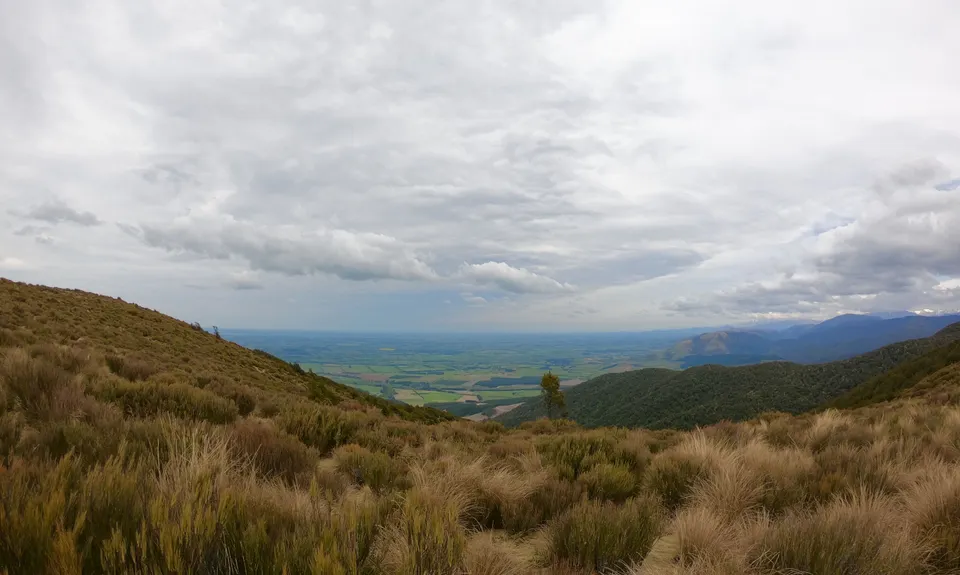 Mt Thomas Grunt, Canterbury