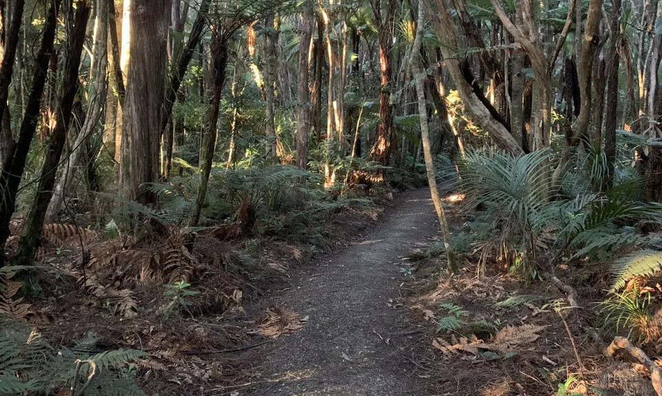 Karamatura Loop, Auckland