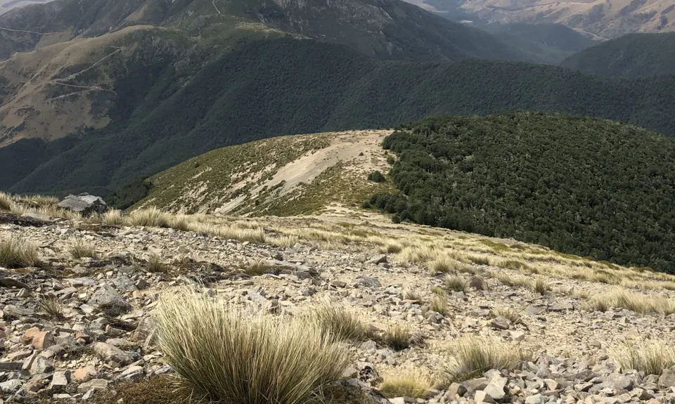 Benmore Hut to the bushline, Canterbury