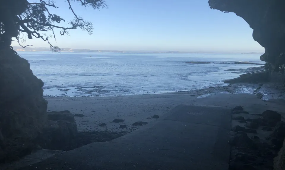 Gulf Harbour Tiki Tour, Auckland