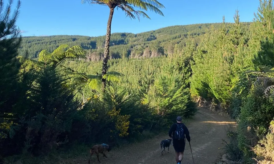 Karapoti Challenge, Wellington