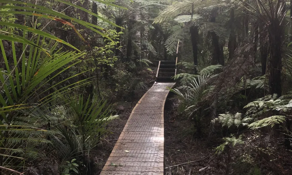 Eskdale Outer Loopypop, Auckland