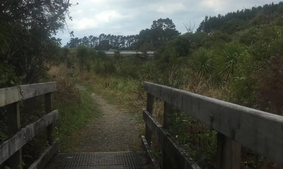 Mangemangeroa Track, Auckland