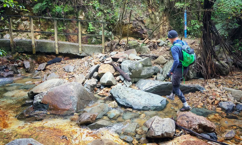 Te Aroha Summit Loop, Waikato