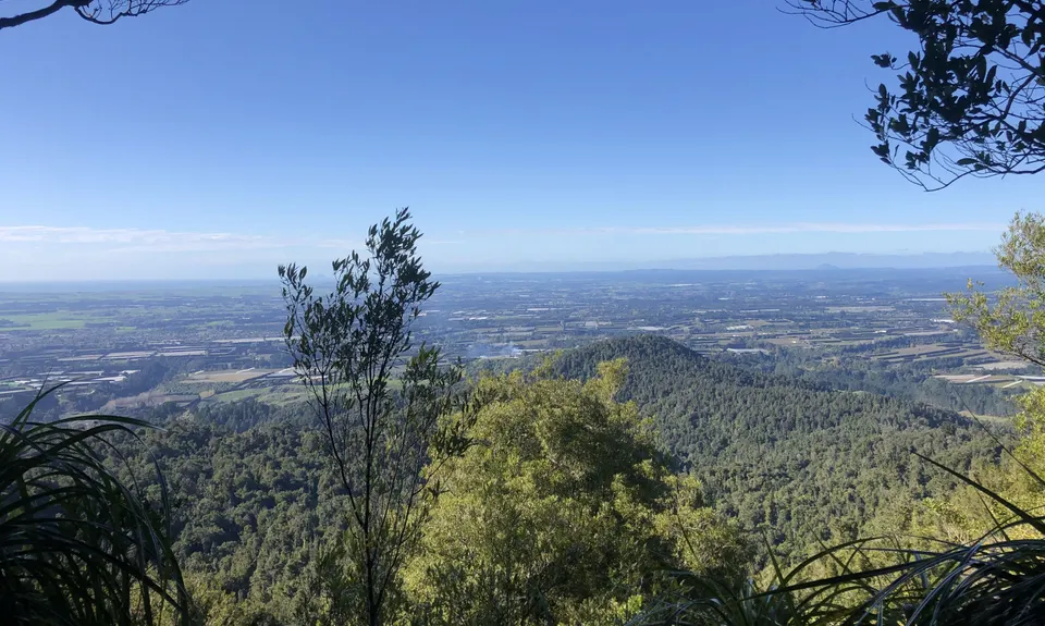 Otawa Trig, Bay of Plenty