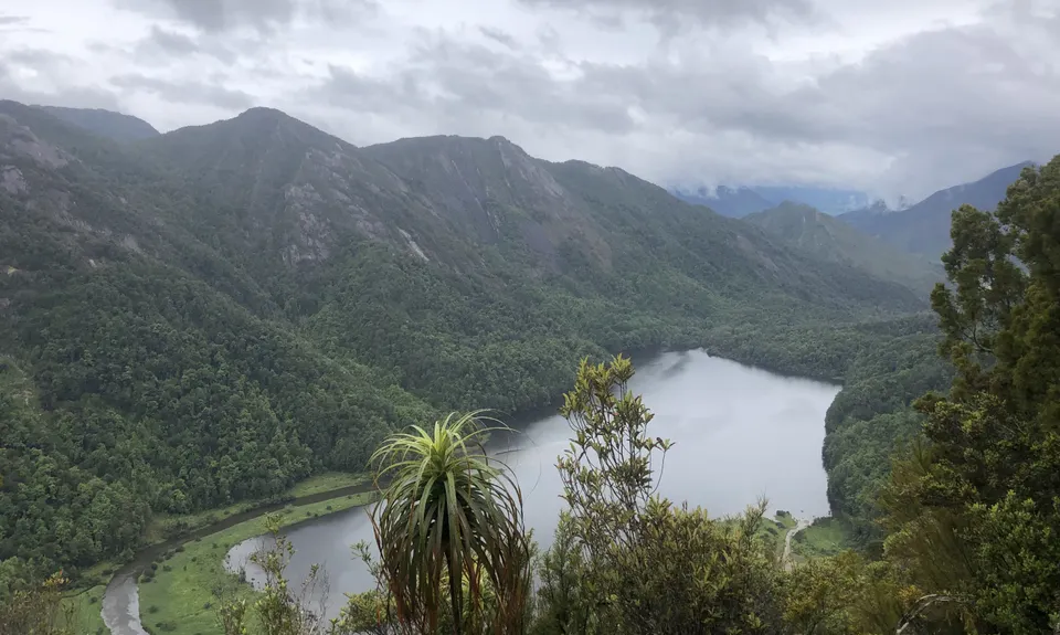 Poor Petes, Tasman