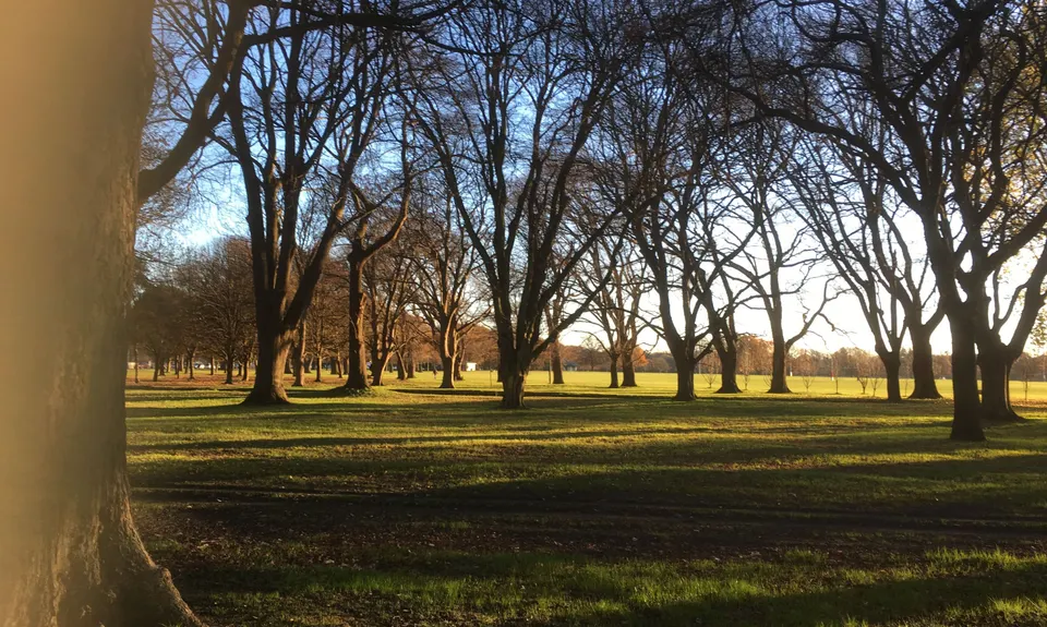 Hagley Figure of 8, Canterbury