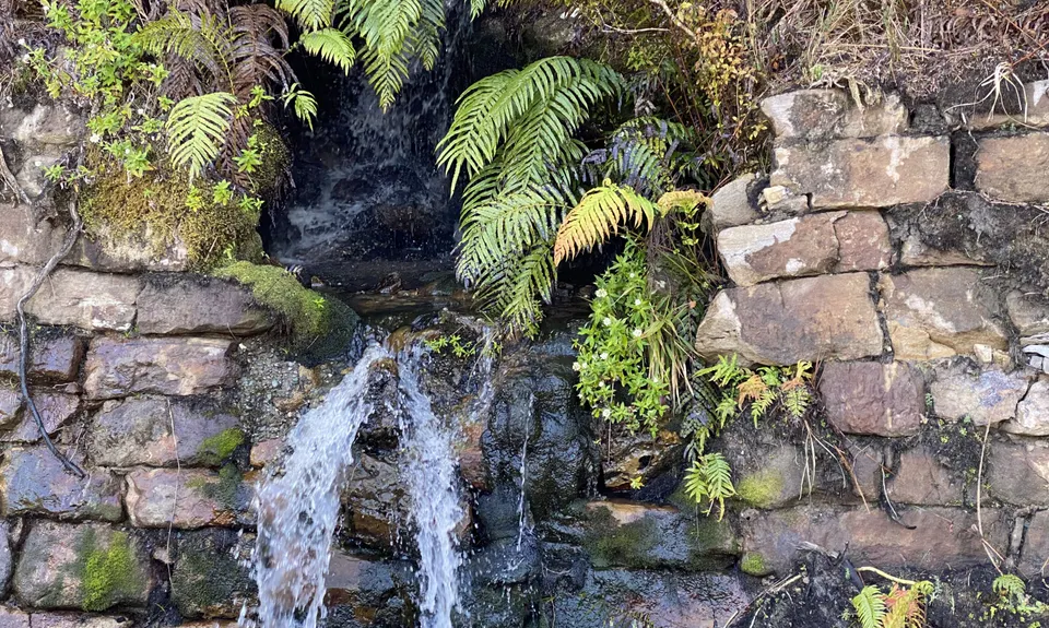 Rewanui, West Coast