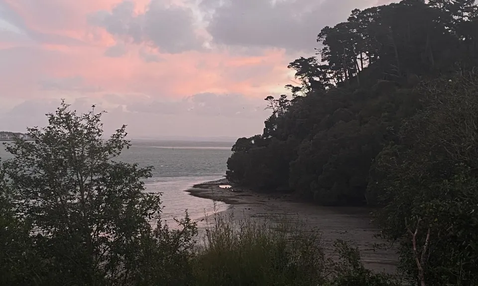 Waikowhai Stairs, Bush & Beach, Auckland