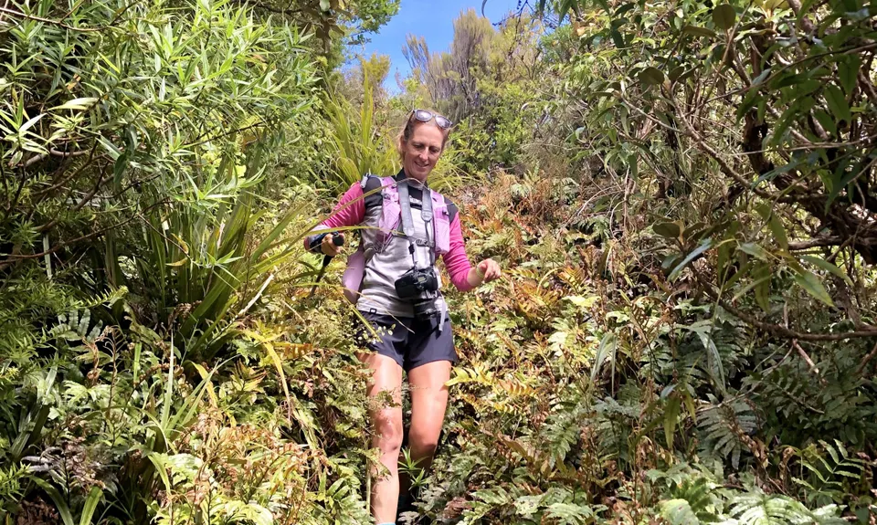 Wilkie and The Enchanted Ridge, Taranaki