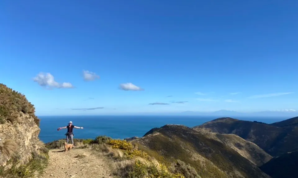 Red Rocks Loop, Wellington
