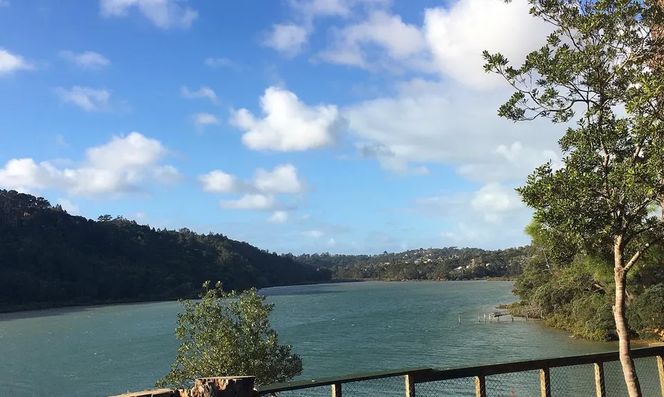 Beach Haven Bridges to Pitches, Auckland