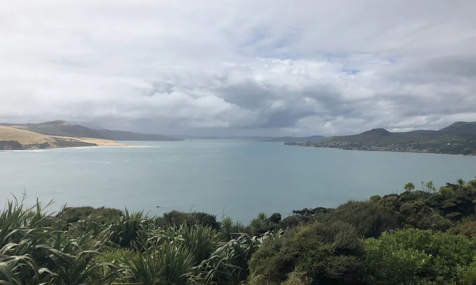 Hokianga Hauler, Northland