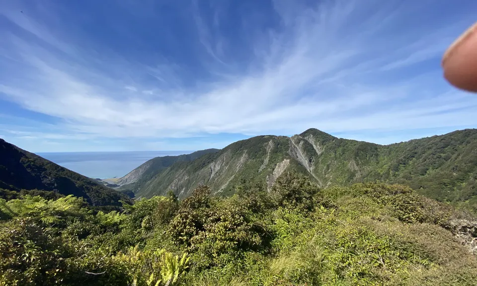 Mt Matthews, Wellington