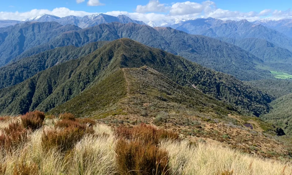Mt Tuhua, West Coast