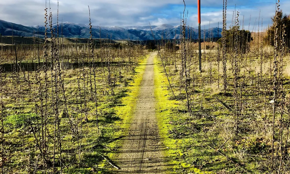 Upper Clutha River Loop, Otago