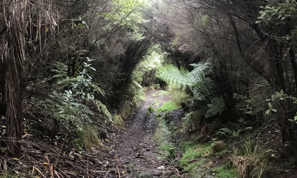 Waihi Wandering, Bay of Plenty