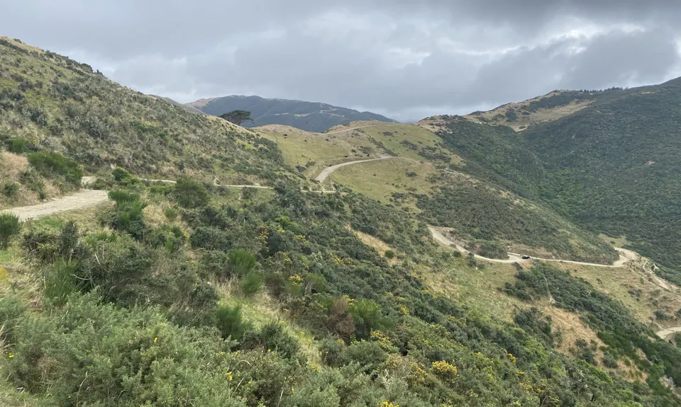 Skyline - Mt Kaukau, Wellington