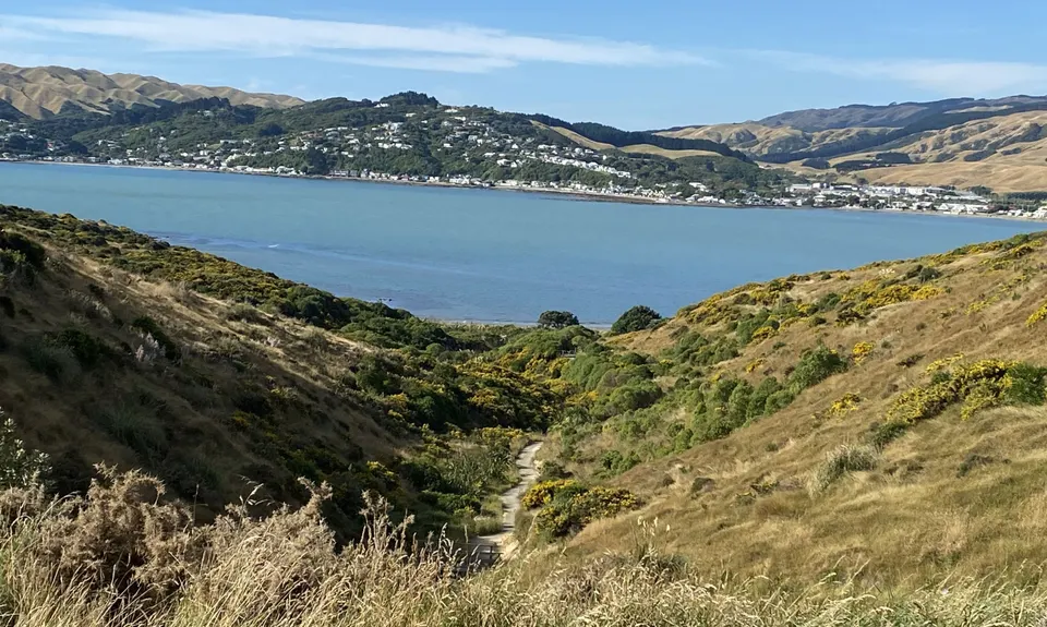 Whitireia Circuit, Wellington